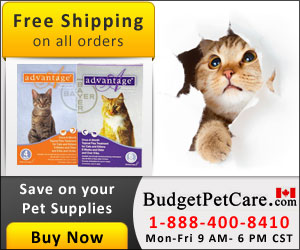 Buy Cheapest Advantage Flea Treatment For Cats Online