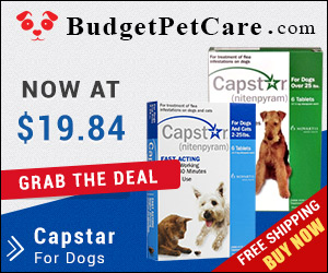 Novartis Capstar For Dogs Online at Cheapest Price