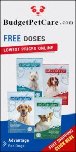 Buy Cheapest Advantage Flea Treatment For Dogs Online