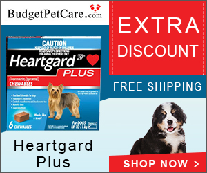 Buy Heartgard Plus Heartworm Chewables for Dogs with Extra Discount at BudgetPetCare.com