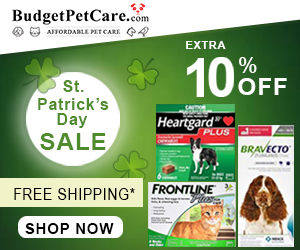 St. Patrick’s Day SAVINGS!