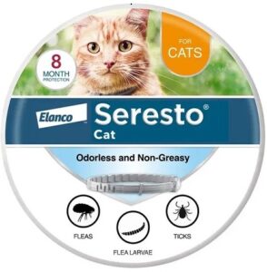 Cat Products Supplies